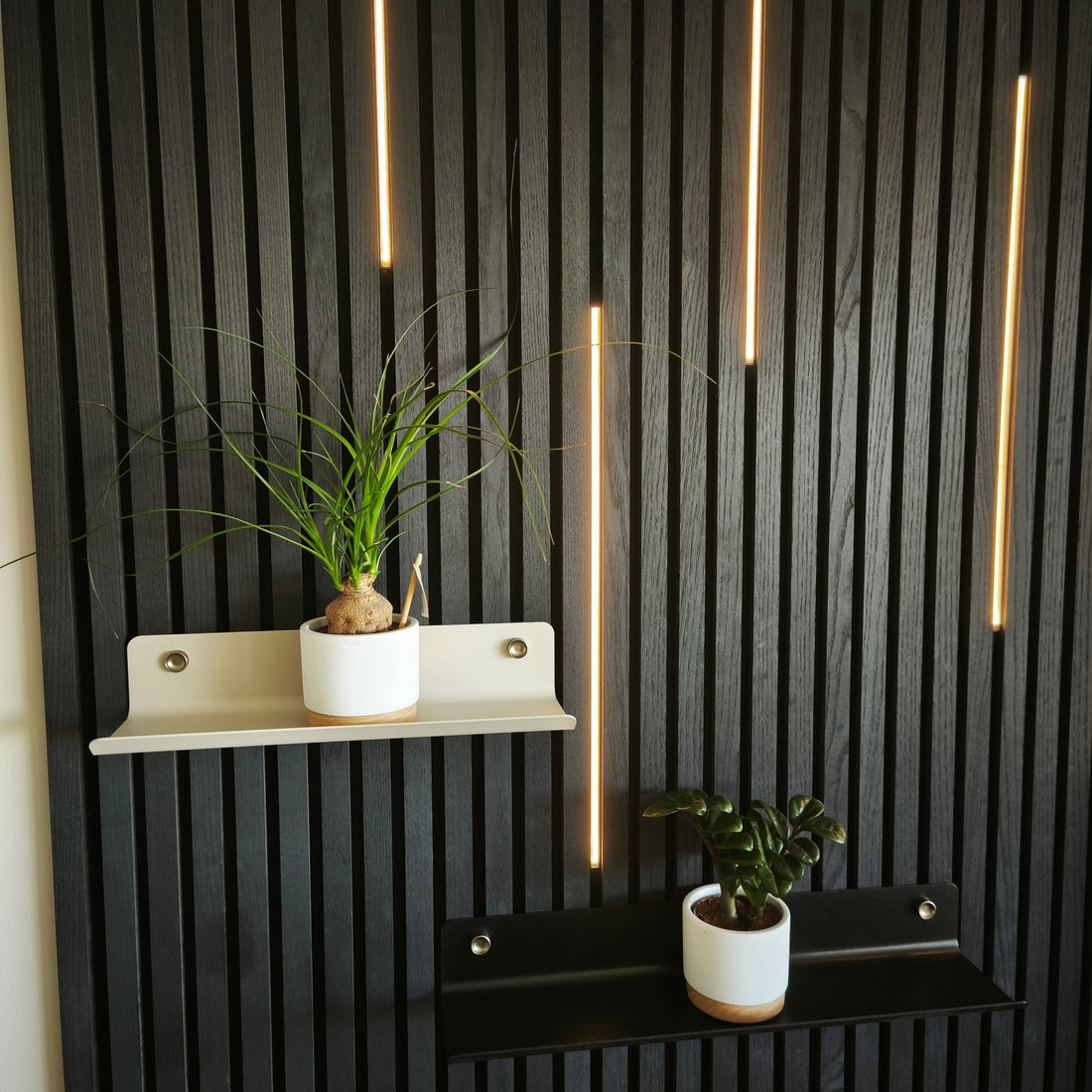 Tutoriel d'Installation de votre Système LED pour Acoupanneaux®